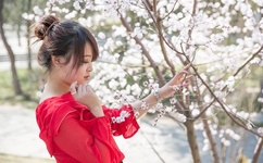 伊在人线香蕉视频